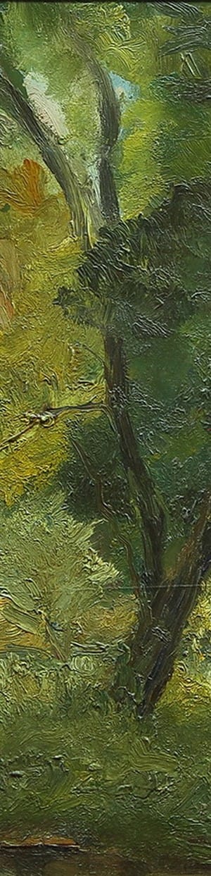 Paisaje . óleo sobre cartón . 49x58cm . 1950
