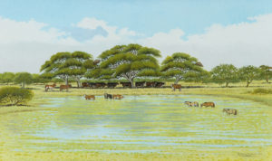 El Tajamar . óleo sobre lienzo . 60x100cm . 2014 El Tajamar . óleo sobre lienzo . 60x100cm . 2014