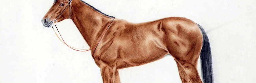 Pur Sang . pastel sobre papel . 46x55cm . 1980