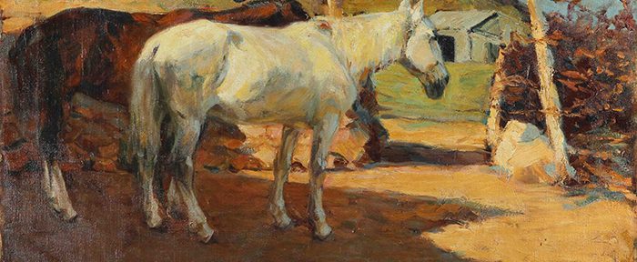 Caballos al sol