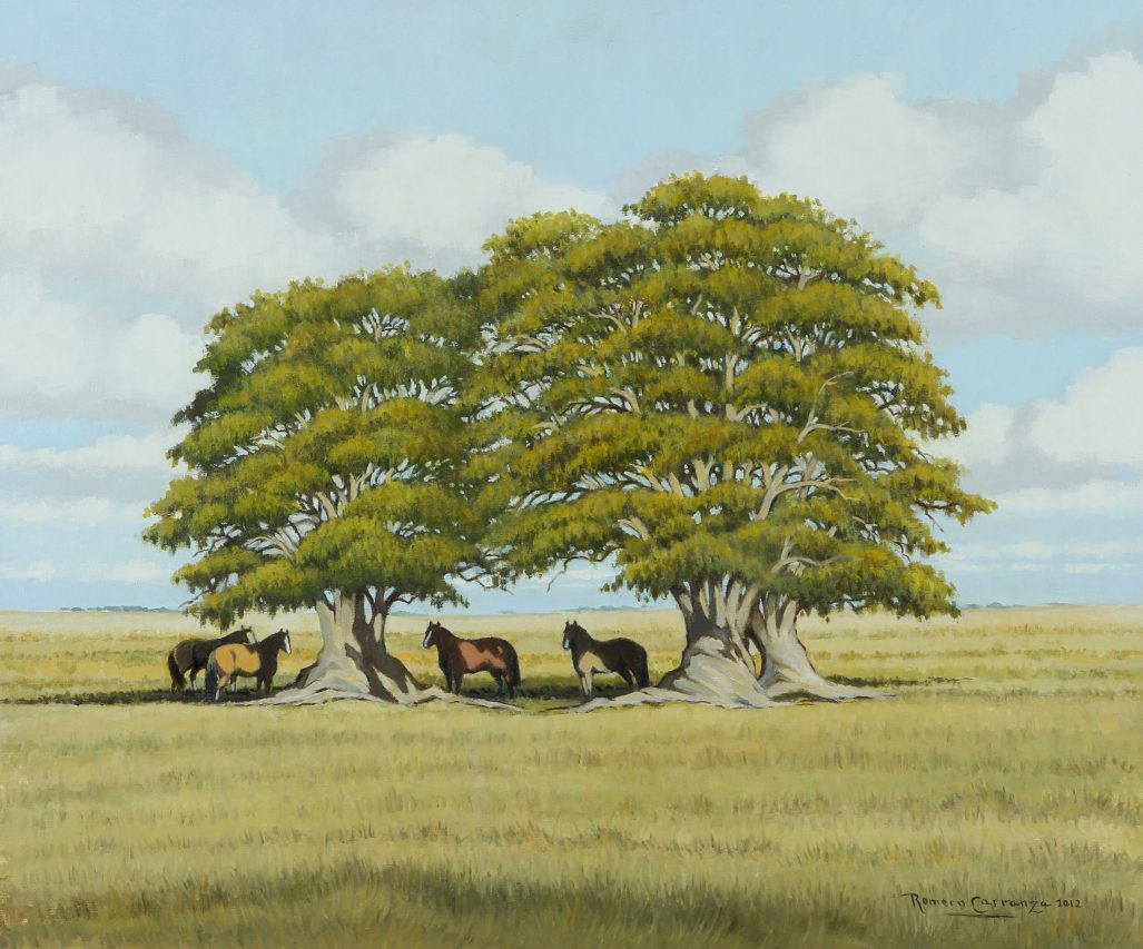Los Dos Ombúes, óleo sobre lienzo, 50x60cm, 2012.