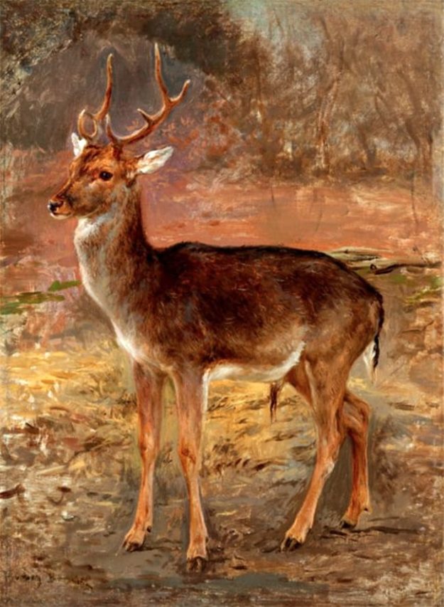 Ciervo, 1884.